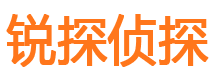 龙游市侦探调查公司